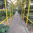 코오롱아파트 앞 이미지