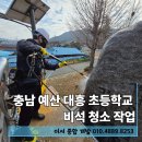 대흥초등학교 | 충남 예산 대흥 초등학교 비석 청소 작업 후기