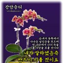 샬롬 Daum카페
