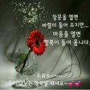 행복찾기 Daum카페