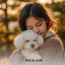 주말공원 | 구리 갈매 협동공원 반려견 놀이터 주말 가족 산책 후기