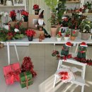 무인47 | 첨단24시무인꽃집 :: 더나은꽃집 🌼 광주꽃다발선물 하기 좋은 감성 꽃집 추천🌸