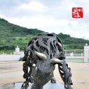 소싸움경기장 이미지