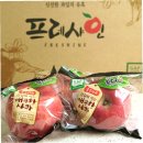 충주거점산지유통센터 | 겉만 보고 판단 금지! 썩은 사과도 골라내는 APC의 놀라운 기술: FTA가 바꾼 농업의 미래