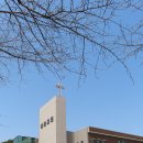 볼음도길 이미지