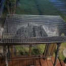 밀양수영장가족쏠마레펜션 이미지