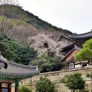 지리산호수공원 이미지