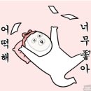 퓨전돌판집