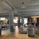 매그네이트 이미지