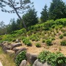 한보가든 이미지