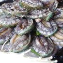 제주해물탕 이미지