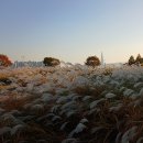 구리한강시민공원 이미지