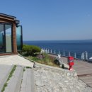 바람의 언덕 이미지