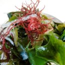 해초 샐러드?? 초고추장 해초 무침 준비물 : 해초 이미지