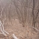 양구 계곡낀 나만의 휴식공간,자연인토지 직거래 7,500만원 이미지