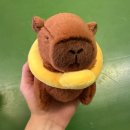 소라언덕 | 후회를 버릴 수 없다면 갈고닦아서 사용하세요