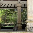 선글라스팜 | [인도네시아5] 발리 5박 7일 신혼여행 후기_팜투어🌴: 남부투어-울루와뚜사원, 싱글핀비치클럽, 빠당빠당...