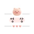 화평본가 이미지