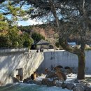 ATOZ피티샵 | 두돌아기랑 일본여행(4)-벳푸, 아프리칸 사파리의 A to Z. 렌트카 이용후기/ 관람료, 레스토랑, 기념품샵🦏