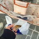 행복떡방 - 양천구 목동동로12길 50-1 | 부산 핫한 디저트 피자설기 영도다리떡방 오픈런 후기