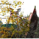 금강하구둑관광지 이미지