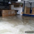 매직스토어 이미지