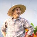 농업회사법인하나주식회사 네이버블로그