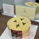테로 | 해요떡공방 시그니처 쌀카스테로호박인절미케이크 후기