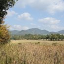 천보체력단련장 이미지