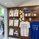 🌞 시청역 래피소드 커피 라떼 후기! 영수증 리뷰 적고 미니스콘도 받음🥐