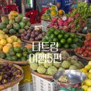 20개월 아기와 나트랑 여행 | 담시장·CCCP커피·악어샵 크록스, 마담프엉 후기