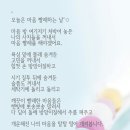 빨래하는날 이미지