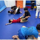 부광체육관 | 키즈주짓수 우리 아이에게 딱 맞는 주짓수와 합기도 교육 후기