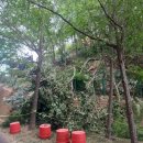 허문공원 이미지