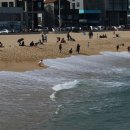 경포의휴일 이미지