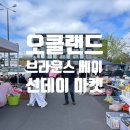 〔뉴질랜드 일상〕 오클랜드 브라운스 베이 선데이 마켓 후기 | 현지 감성 가득한 주말 시장