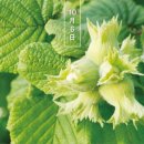 바미메디칼 이미지