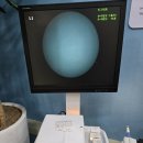 수원-0468 이미지