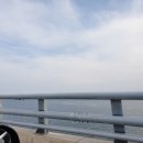 동은참치 - 거제시 중곡1로 28 | 동은참치