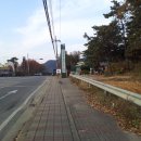 동막골민물장어 이미지