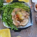 둥이네농장2 이미지