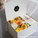 지구박스 이미지