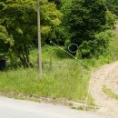 복내택시 이미지