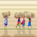 (주)호텔스카이파크 킹스타운동대문 이미지