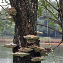 시민문화체육공원 산책로 이미지