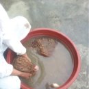 야곱축산 이미지