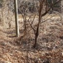 홍성읍 옥암3리마을회관 이미지