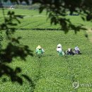 서광리-19 이미지