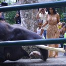 코끼리유통 이미지