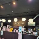 구리수족관 | 아이와 가볼만한 곳 구리 수풀림 아쿠아카페 상어가 있는 대형 수족관 카페 방문 솔직 후기
